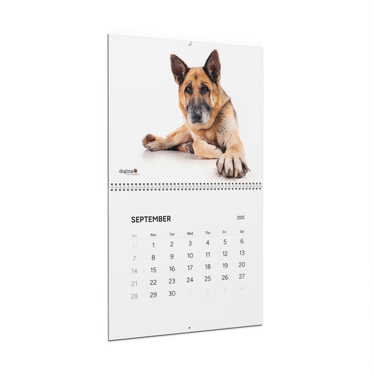 2025 Argon Wall Calendar