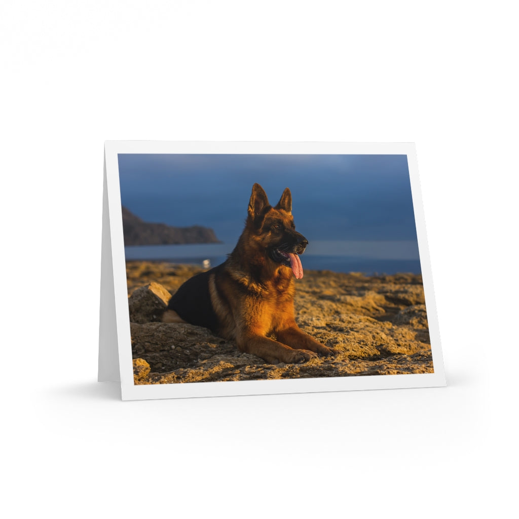 german shepherd dog greeting cards german shepherd rescue of orange country gsroc dog rescue cards thank you cards german shepherd thank you cards