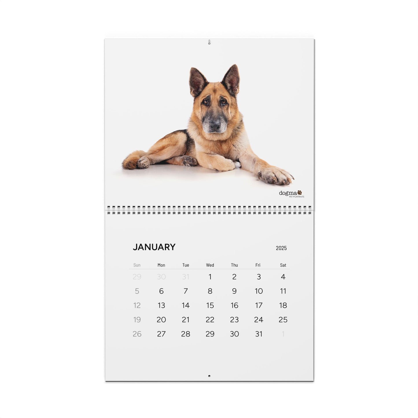 2025 Argon Wall Calendar