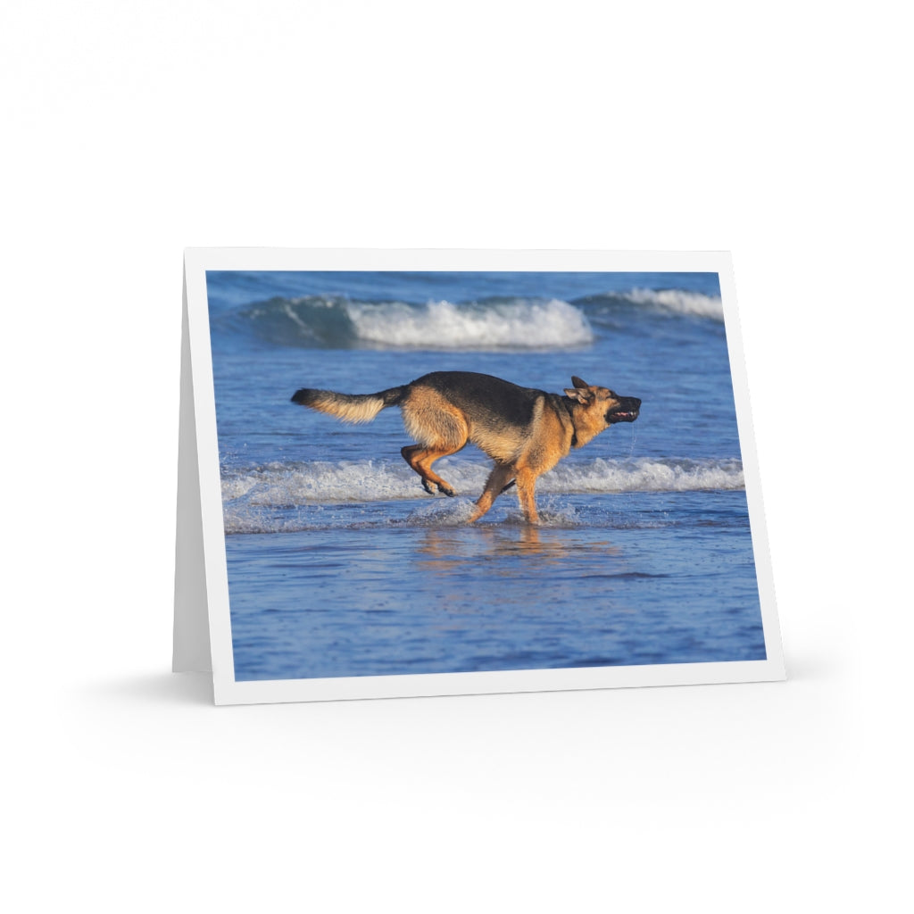 german shepherd dog greeting cards german shepherd rescue of orange country gsroc dog rescue cards thank you cards german shepherd thank you cards